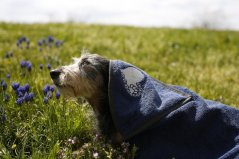 Ručník Bori zn. Dogrider®: Designový froté, 100% bavlna