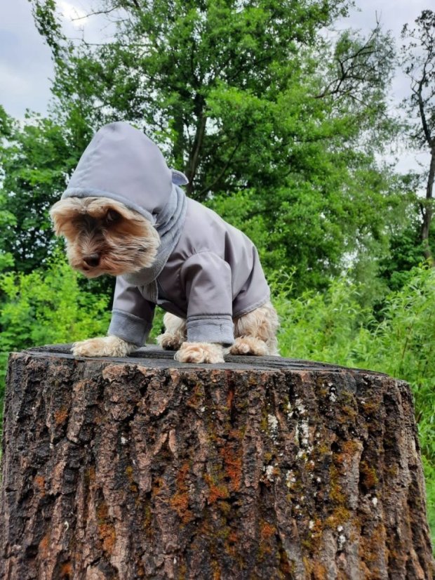 Bundička Sesi zn. Dogrider®: Ručně šitý komfort do každého počasí - Barva: Šedá, Velikost: L