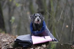 Luxusní prošívaná deka Dogrider®