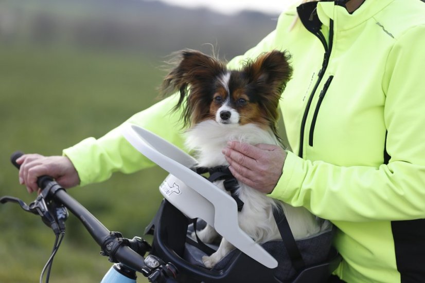 Sedačka pro pejska s pelíškem Dogrider® - Barva: Růžová