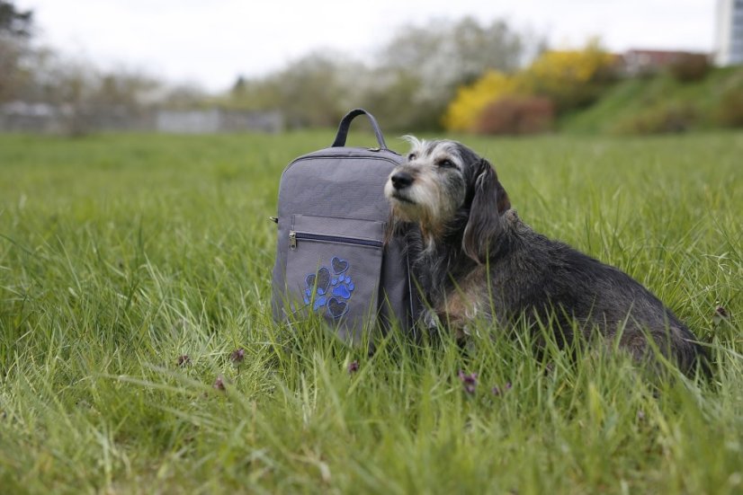 Batoh Dogrider®: Stylový, prostorný a bezpečný - Barva: Růžová