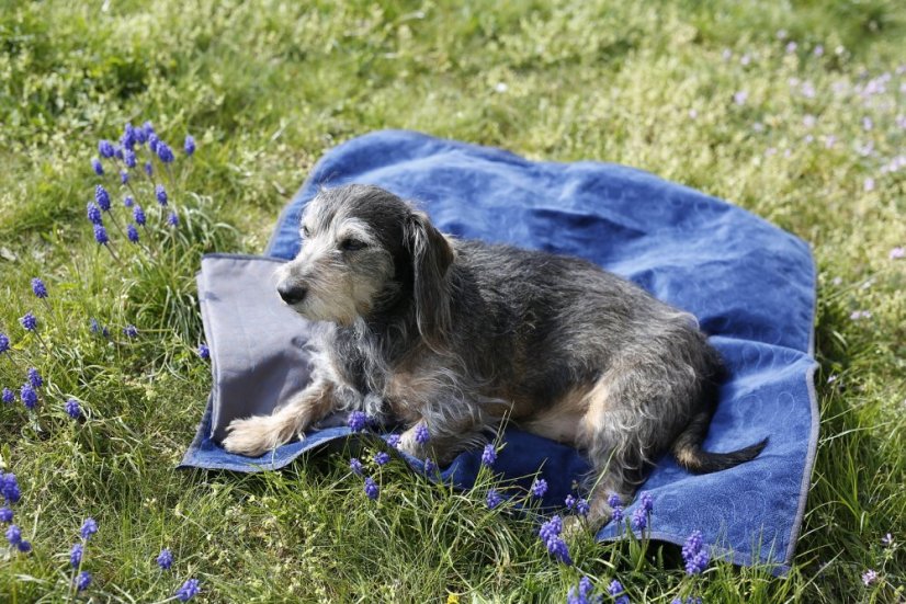 Luxusní prošívaná deka Dogrider® - Barva: Šedá