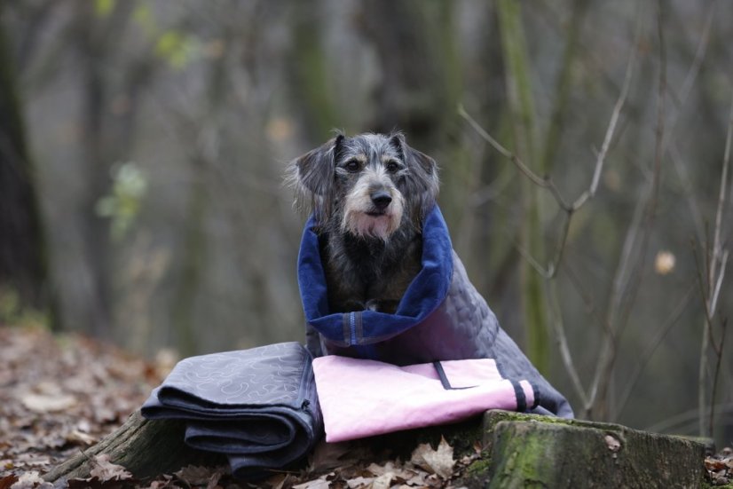 Luxusní prošívaná deka Dogrider® - Barva: Šedá