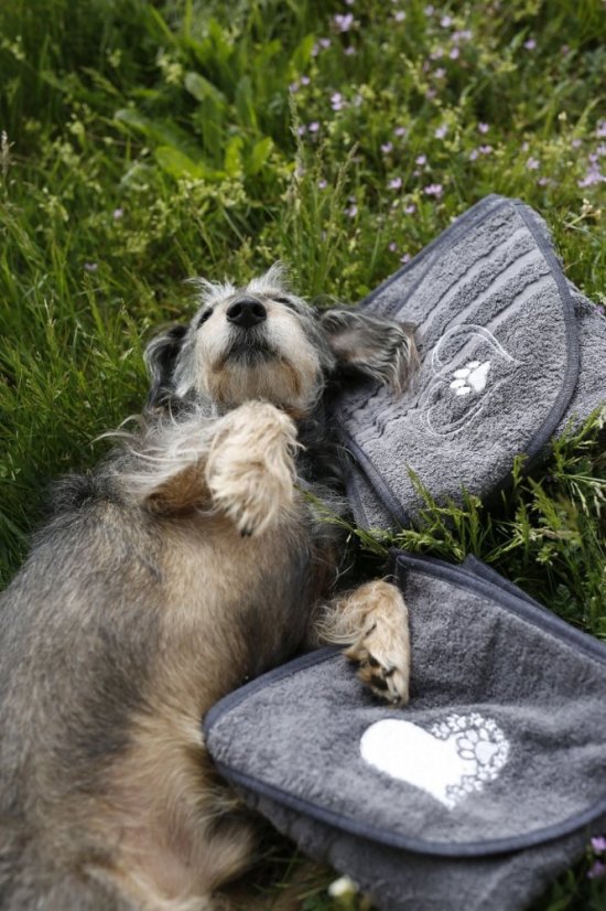 Ručník Bori zn. Dogrider®: Designový froté, 100% bavlna - Barva: Šedá