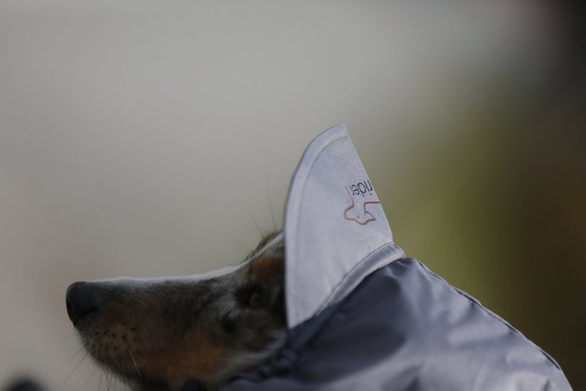 Pláštěnka zn.Dogrider® Sucho a pohodlí i v dešti - Velikost: S