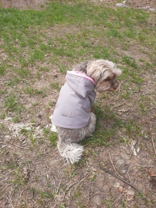 Bundička Sesi zn. Dogrider®: Ručně šitý komfort do každého počasí - Barva: Šedá, Velikost: L