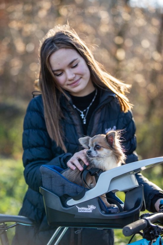 Sedačka pro pejska s pelíškem Dogrider® - Barva: Růžová