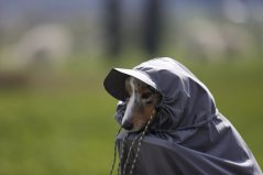 Pláštěnka zn.Dogrider® Sucho a pohodlí i v dešti