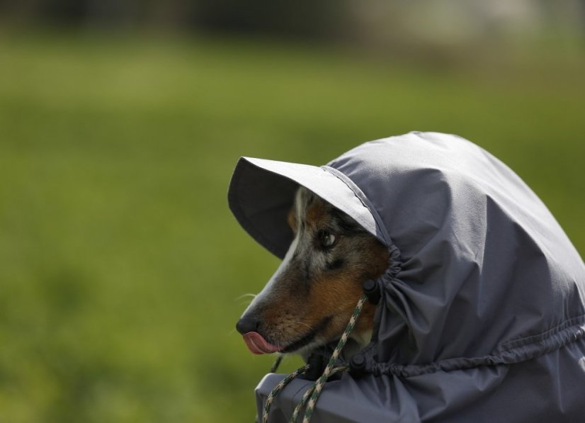 Pláštěnka zn.Dogrider® Sucho a pohodlí i v dešti - Velikost: L