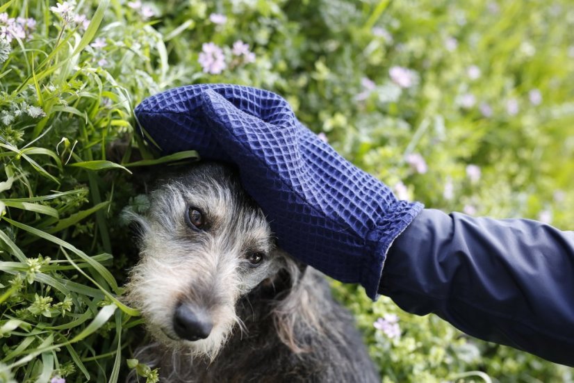 Rukavičník Dogrider®: Pro bleskové vysušení