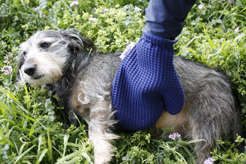 Rukavičník Dogrider®: Pro bleskové vysušení